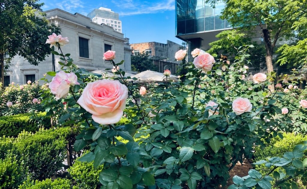 Jardim do Museu Casa das Rosas